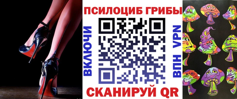 Псилоцибиновые грибы Psilocybe  Канаш 
